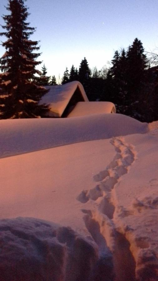 Chalet Camomille Les Gets Exteriör bild